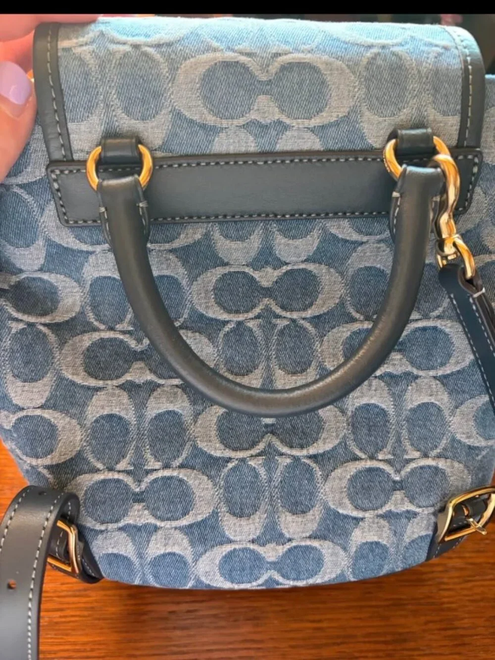 Coach Hadley backpack
